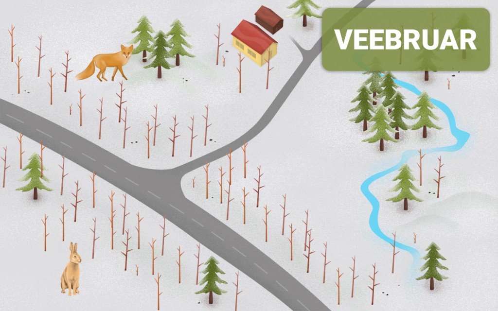 Metsloomad sõiduteel - veebruar
