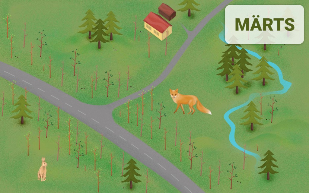 Metsloomad sõiduteel - märts
