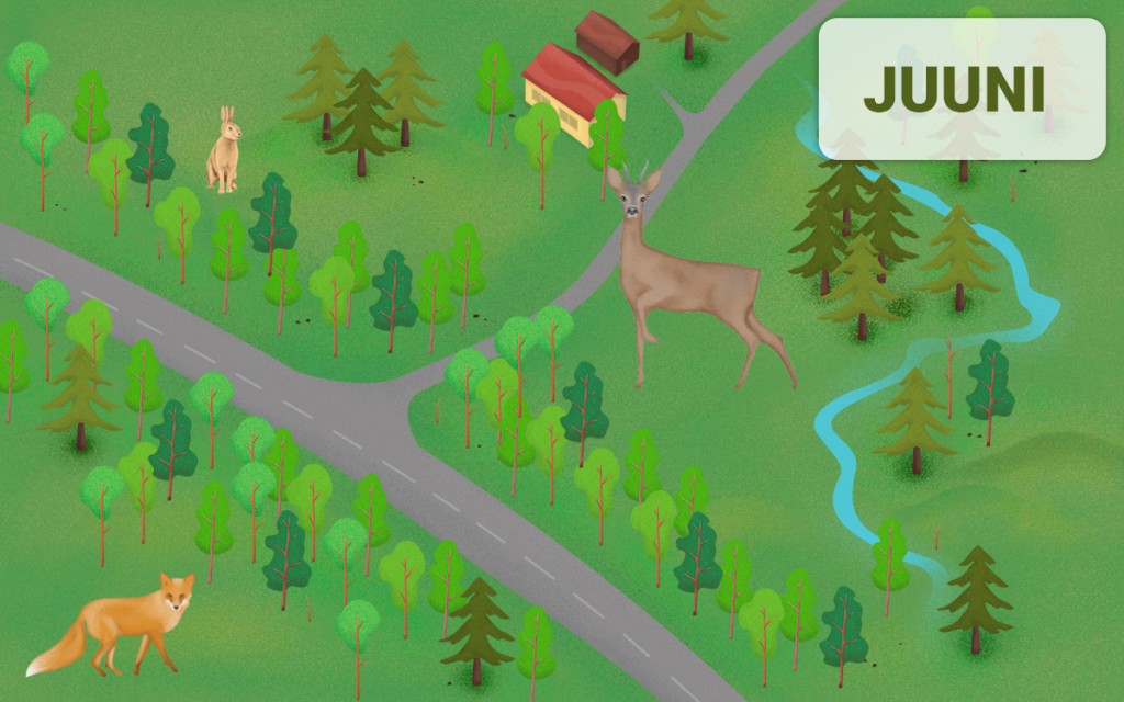Metsloomad sõiduteel - juuni