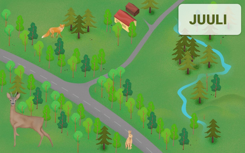 Metsloomad sõiduteel - juuli