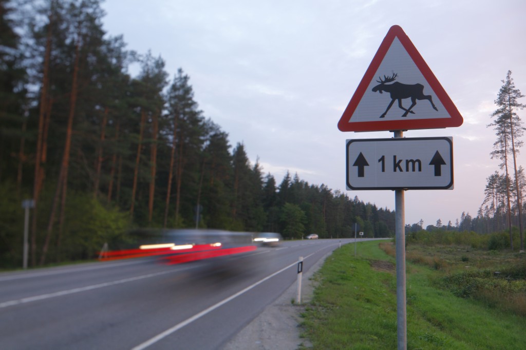Liiklusmärk.JPG